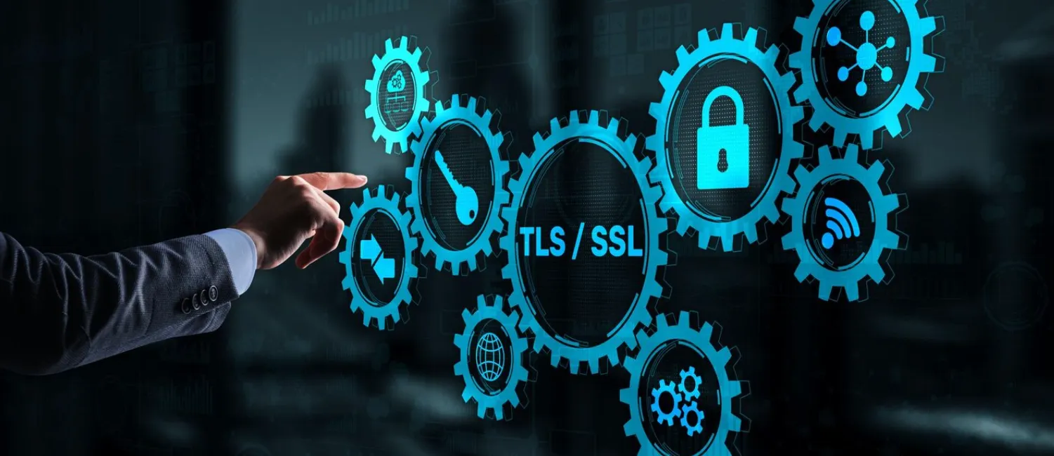 Different Types of SSL Certificates